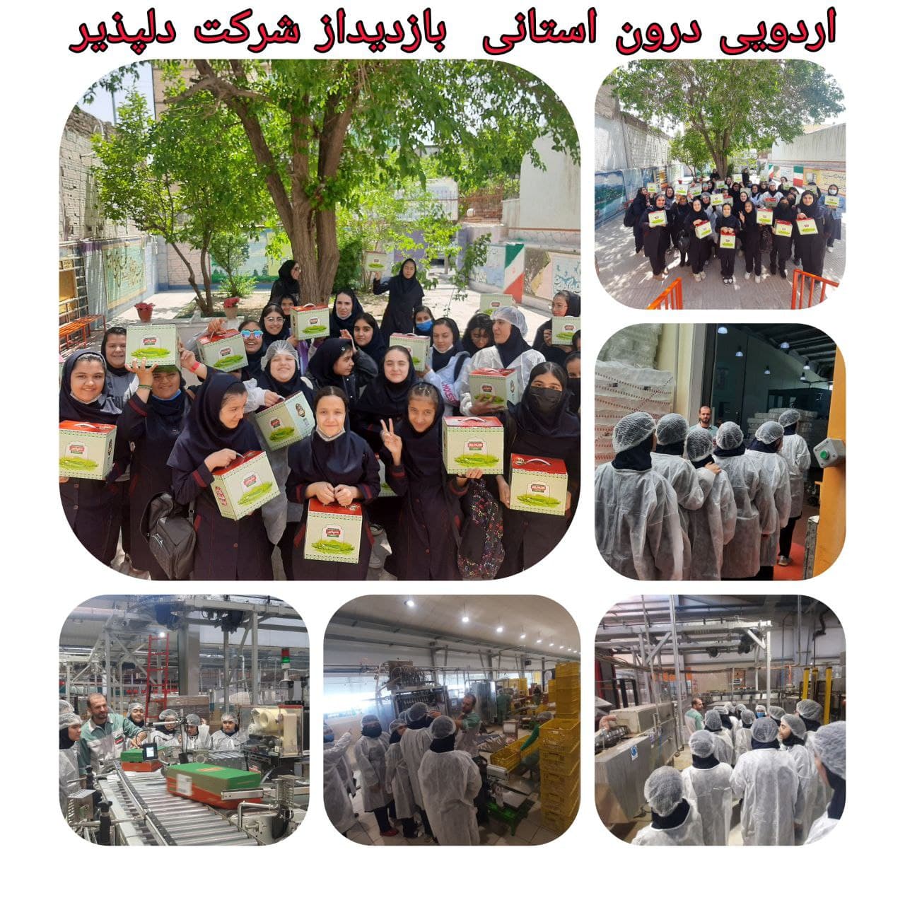 دبیرستان دوره اول گلستان علم